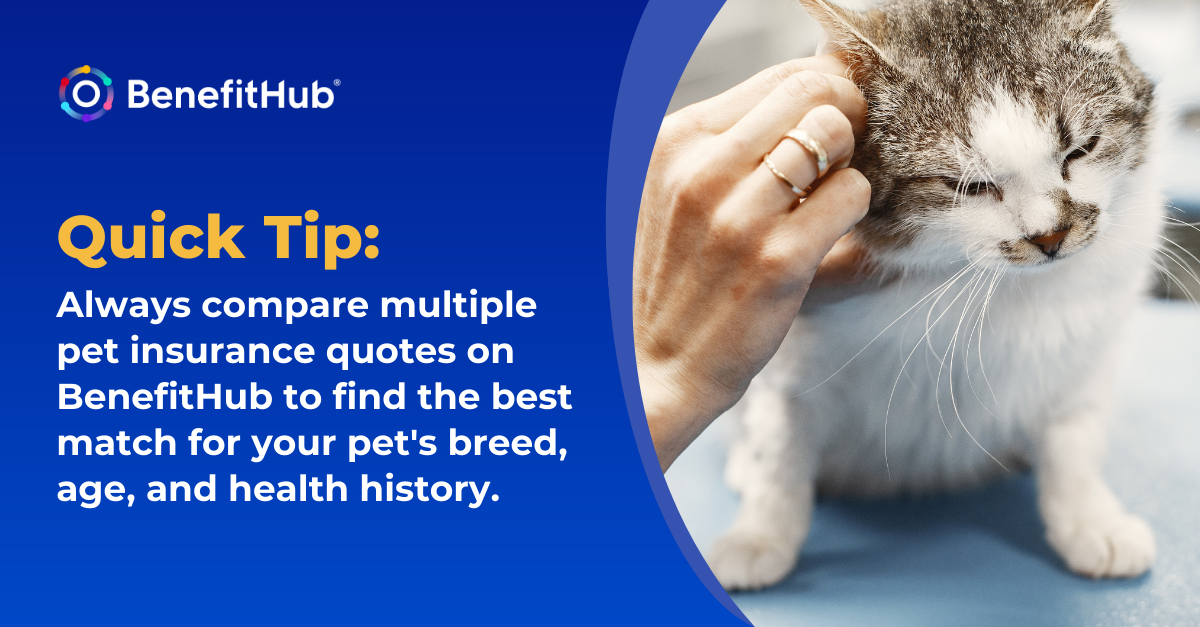 BenefitHub for Pet Parents Graphic 2