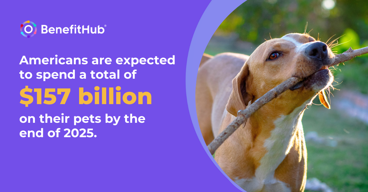 BenefitHub for Pet Parents How to Save on Vet Visits, Food & More